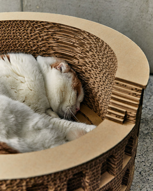 Colosseum Cat Bed