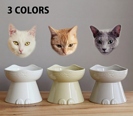 Mino Ware · Cat Dish: Handcrafted Tall Pet Bowl
