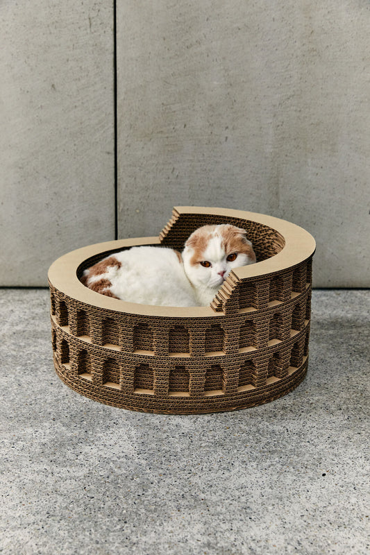 Colosseum Cat Bed