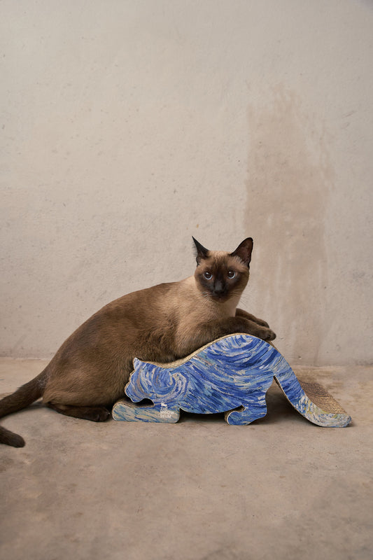 梵高名畫貓抓板