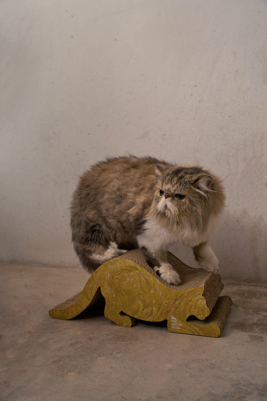 梵高名畫貓抓板