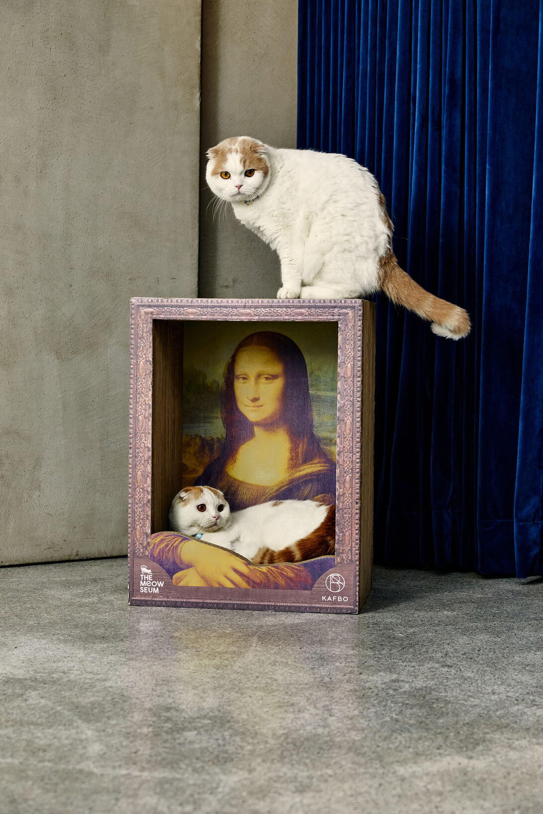 Monalisa Cat Scratcher