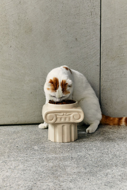 愛奧尼柱寵物碗