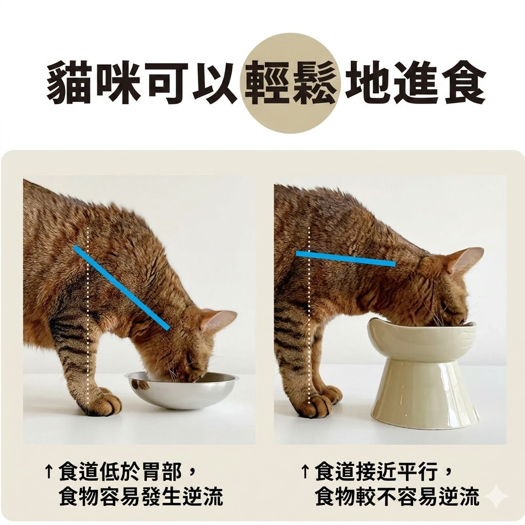 Mino Ware · Cat Dish: Handcrafted Tall Pet Bowl